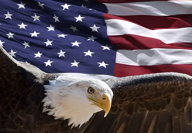 ev.eagle