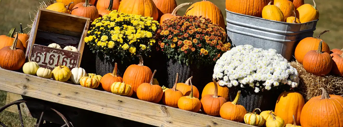 pumpkinWagon